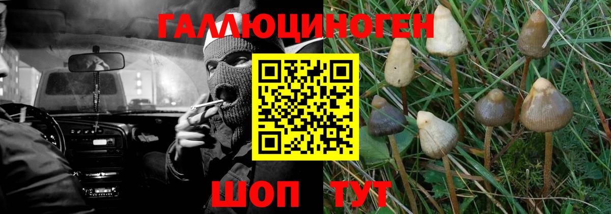 Псилоцибиновые грибы мухоморы Апатиты